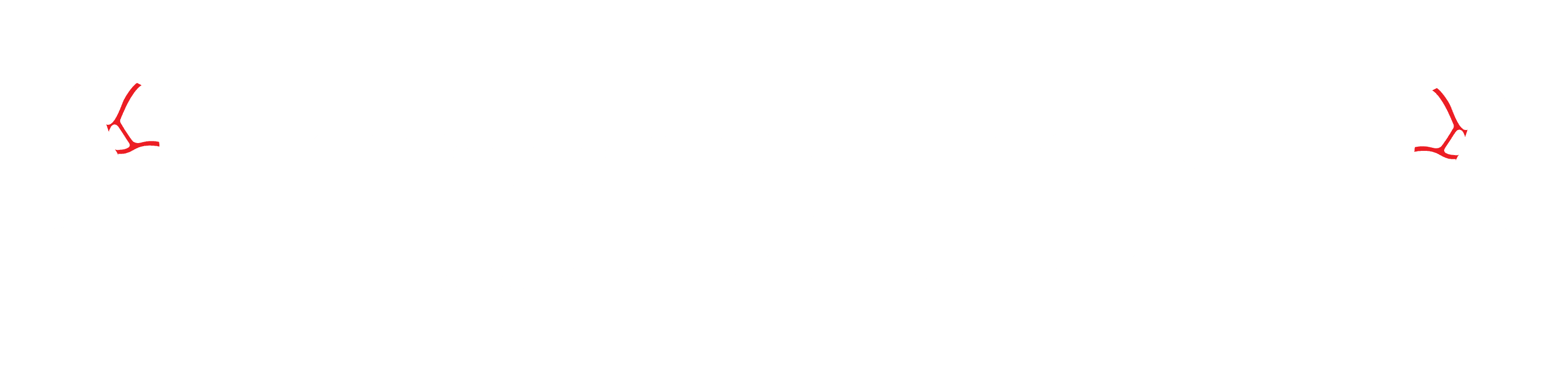 Humanity for Horses Logo