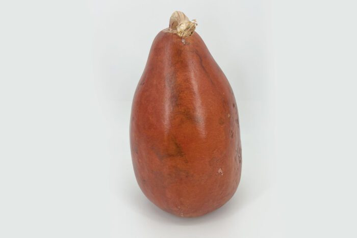 Hand Painted Owl Gourd - Image 3